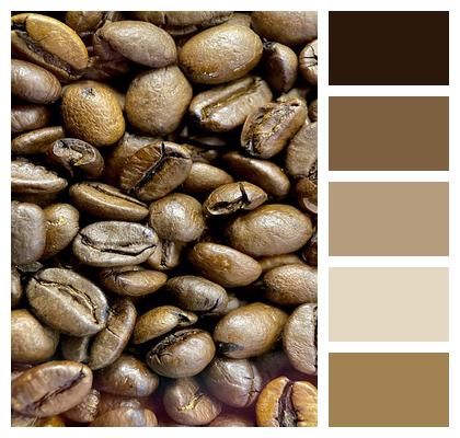 Coffee Roasted Coffee Beans Image